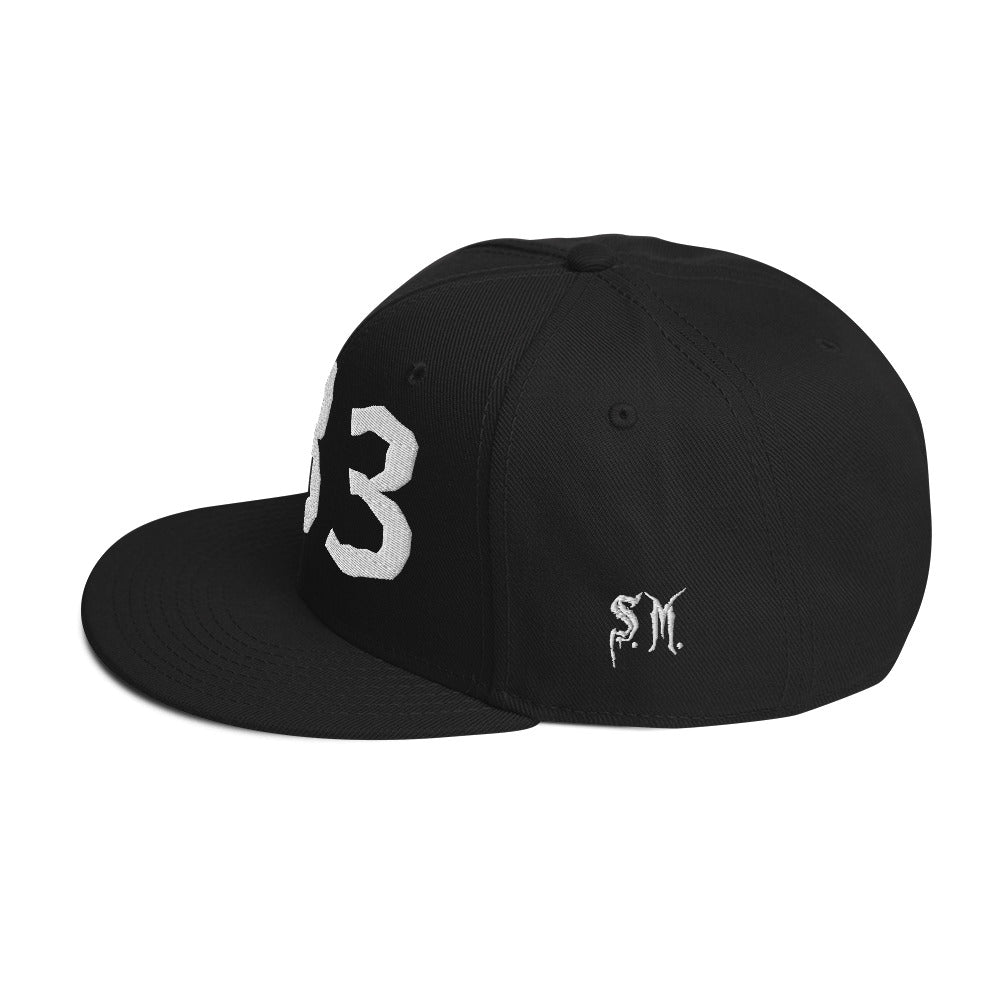 Support (333) Snapback