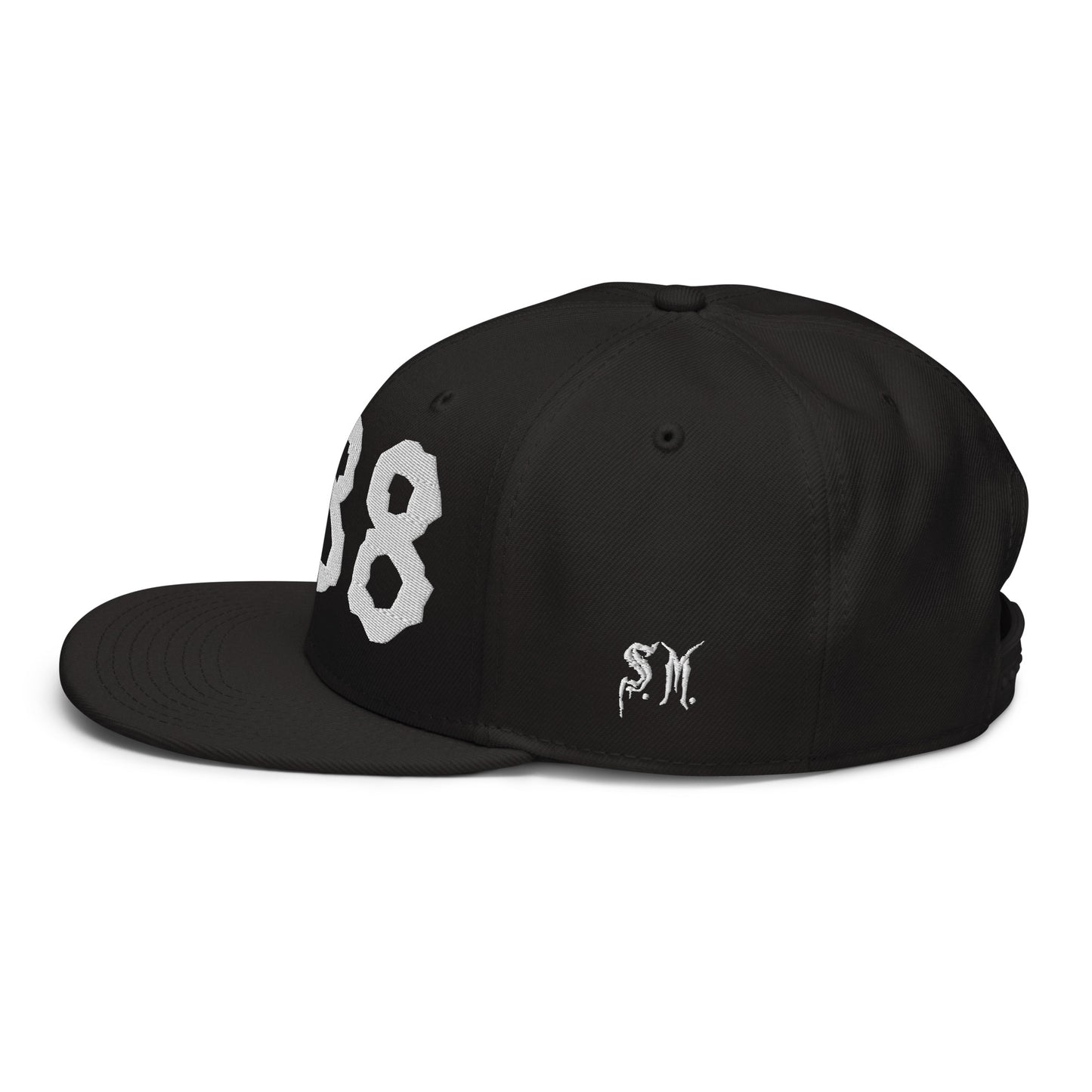 Balance (888) Snapback
